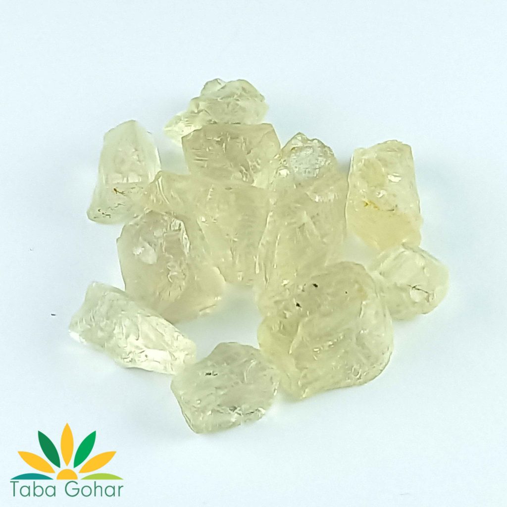 Scapolite-L-SITE-scaled